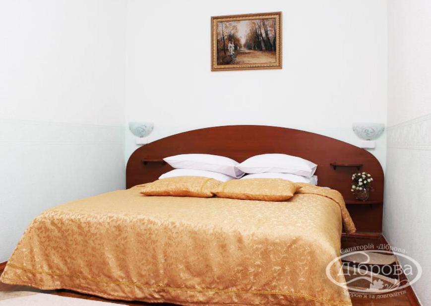 Dibrova Hotel Bila Cerkva Kültér fotó